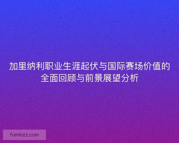 加里纳利职业生涯起伏与国际赛场价值的全面回顾与前景展望分析